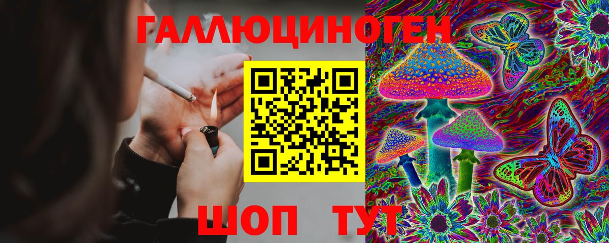 Псилоцибиновые грибы Psilocybe Ирбит