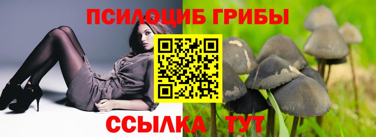 Псилоцибиновые грибы прущие грибы  Галлюциногенные грибы MAGIC MUSHROOMS  Ирбит  Вход с VPN 